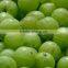 High quality Amla Extract