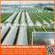 Hot Sell 200 micron agricultural uv protection blue greenhouse pe plastic film , polyethylene pe plastic protective film roll