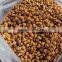 New Arrival Reliable Quality filer soya protein machine