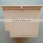 Hydroponics Bucket for Tomato Planting