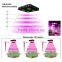 2016 Factory Price Best Selling Products 800 watt High Power COB LED Grow Light Chips