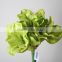 Lovely Hotsell Kaffir Lily artificial Kaffir Lily decorative Kaffir Lily for decoration