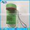 Reliable quality beautiful Watermelon Fruit water bottle