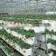 rock wool hydroponic / Lana de roca hidroponica