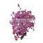 girls night out bachelorette party mixed design confetti