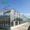 Agricultural large glass greenhouse with hydroponic growing systems