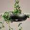 Modern plant chandelier and simple save energy lamp & coffee plants creative lighting