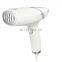 Home Appliances OEM 1000W 100ML Portable Travel Vertical Hand Held Garment Steamers With Steam Flow Of 35g/min