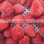 15-25mm 25-35mm 15-40mm Uncalibrated Rich Variety Honey Sweet Charlie American 13 IQF Whole Strawberry