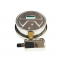 Capsule Pressure Gauge(CPG)-Over-voltage protection type Capsule Pressure Gauge made in China