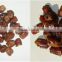 Dates Kernel Extractor / Dates pitting machine / Red jujube pit machine