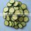 2016 High Performance Commercial Vegetable Dicer