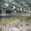 hot lowest price Automatic breeder farm equipment for broiler and chicken house farm