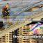 Construction usage silicone sealant/colored silicone sealant/translucent silicone sealant