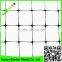 100% original HDPE with UV additives Crop protection anti bird net / 20m x 6m wide garden anti bird netting