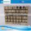 Best Selling Products Radially Sintered Neodimiun Large Magnets