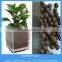 light expanded clay pebbles for hydroponic growing media