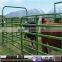 Galnanized cattle Fence