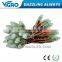 DC5v rgb pixel pixel christmas lights ws2801