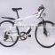 Programmable electric bicycle (Model MTB600U)