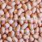 peanut kernel round type from China