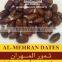 High Quality Almehran Dates GMO-FREE Dates packed in polystyrene Stuffed with Almonds from Pakistan