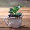 Newest Design Bonsai Artificial Making Artificial Bonsai For Decorative