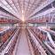 chicken farm steel sturcture building