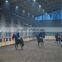 LTX461 Prefabricated steel horse stable