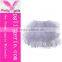 Wholesale Women Tutu Skirt Hot Colors Performance Tutu Skirt,Tutu Skirt For Adult