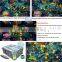 Indoor Amusement Fish Game Machines,popular Slot Machines for Sale