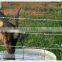 Grassland Fences
