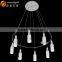 Modern LED Chips Lights Acrylic Pendant Chandelier Bottle Chandelier Lampardis OM88213-8W