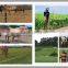 electric fence gate bungee cord of elastic rope