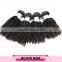 Full Cuticle One Donor Unprocessed Fast Delivery Virgin Hair Bohemian Remy Human Hair Extension