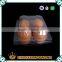 Clear PET plastic disposable blister food tray,fruit tray /pallet,vegetable packs