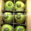 Diamond Shape Fresh Young Coconut