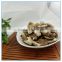 Dried Shiitake Mushroom Piece