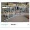 Galvanized Steel Pipe Cow Healock for 8 Cows Locking