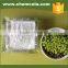 Glazing powder fine white powder for plastic raw matertials