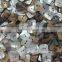 Flower shape natural japanese agoya shell buttons