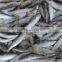 colombia of sardine