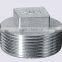 Round Shape and Cap Type Stainless Steel Bull Plug Square Plug Pipe Fitting