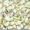 Almond Shell Separator Apricot Kernels Shell Separating Machine Price