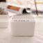 ceramic white square succulent plant pot