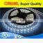 Fashionable design factory price 12v 24v led strip light