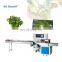 small bunch coriander, mint, basil pouch wrapping machine price