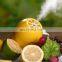 Best Sales Lemon Shape USB Portable Mini  Air Humidifiers for Personal Room