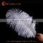 Cheap dyed 30-35cm ostrich feathers for sale