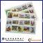 Funny high gross paper stickers for children